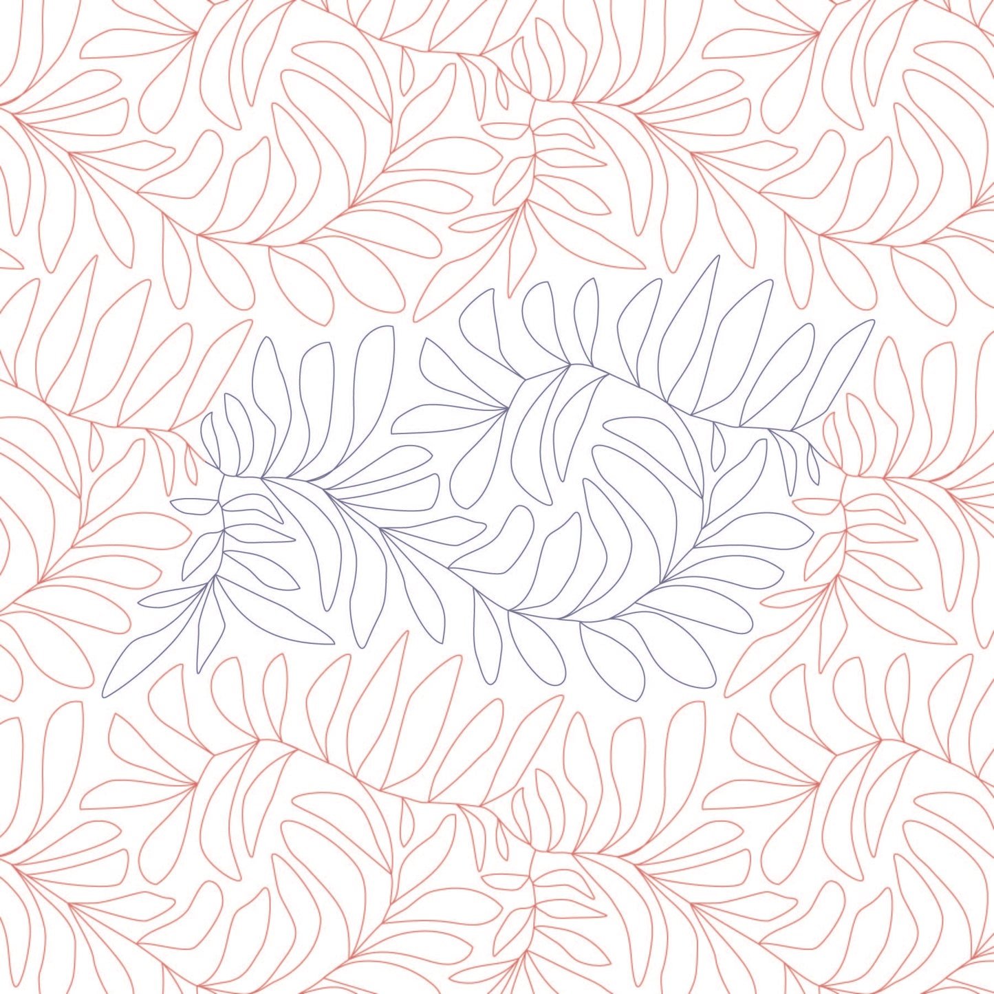Feather Fern