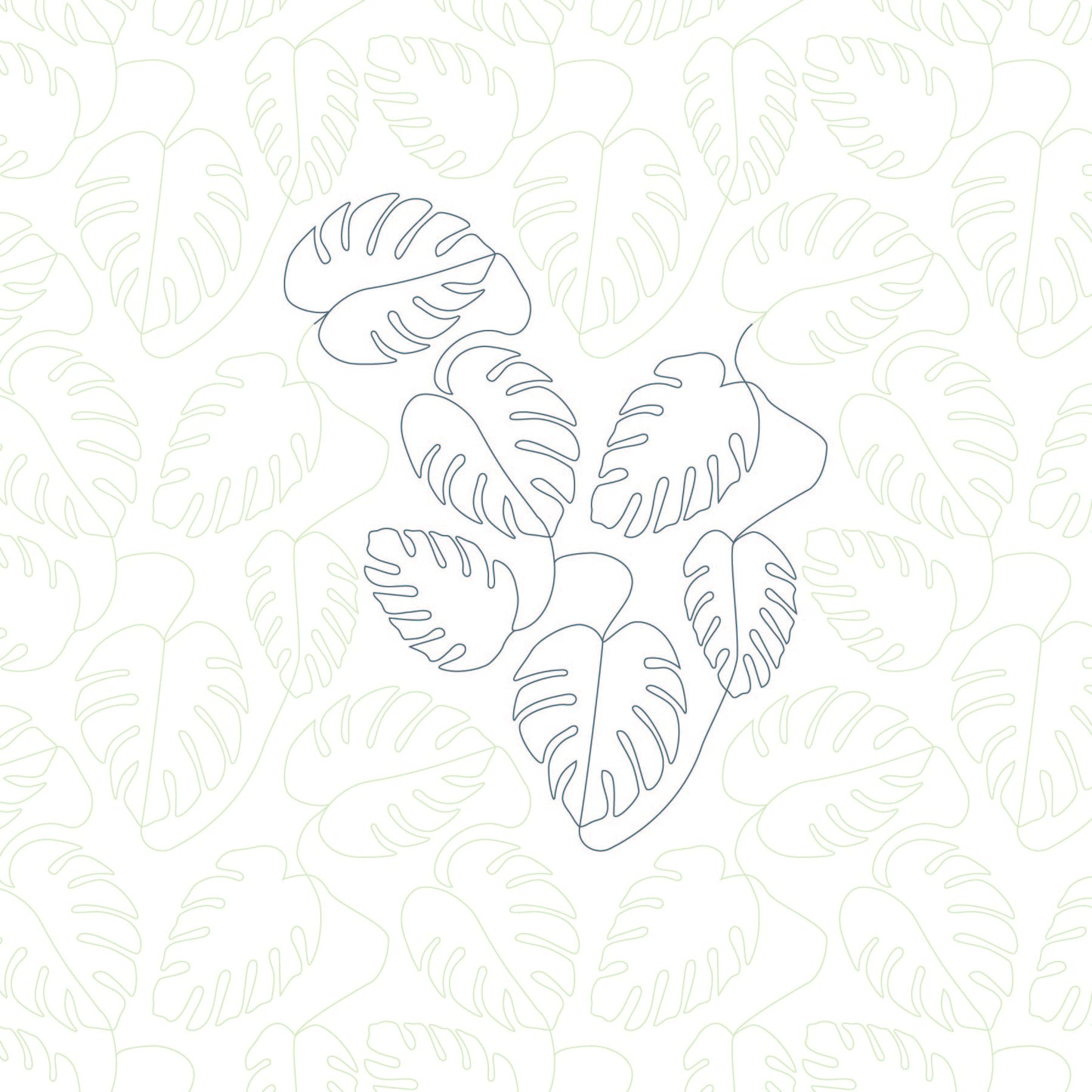 Monstera