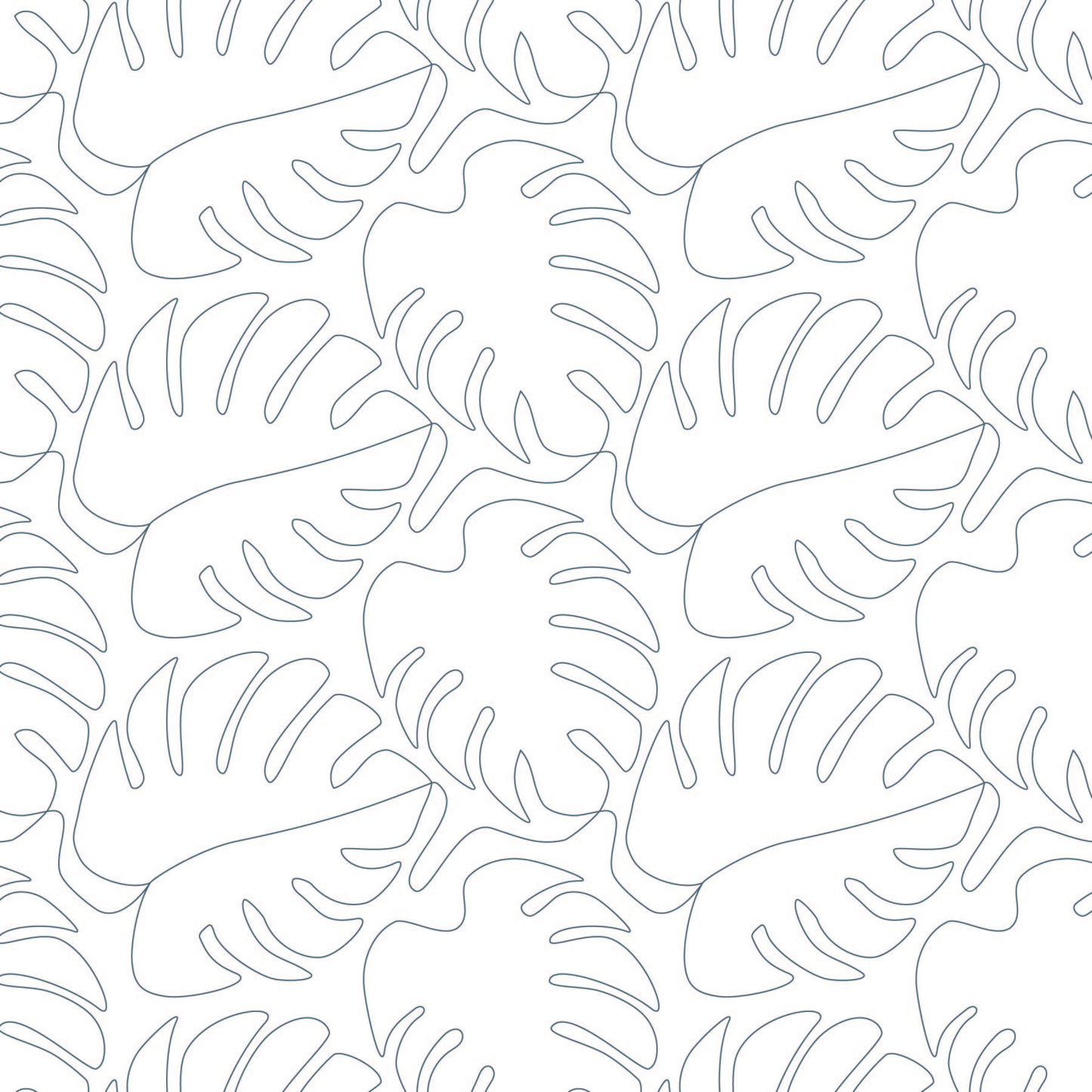 Monstera Reworked