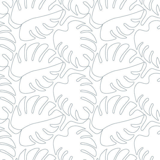 Monstera Reworked