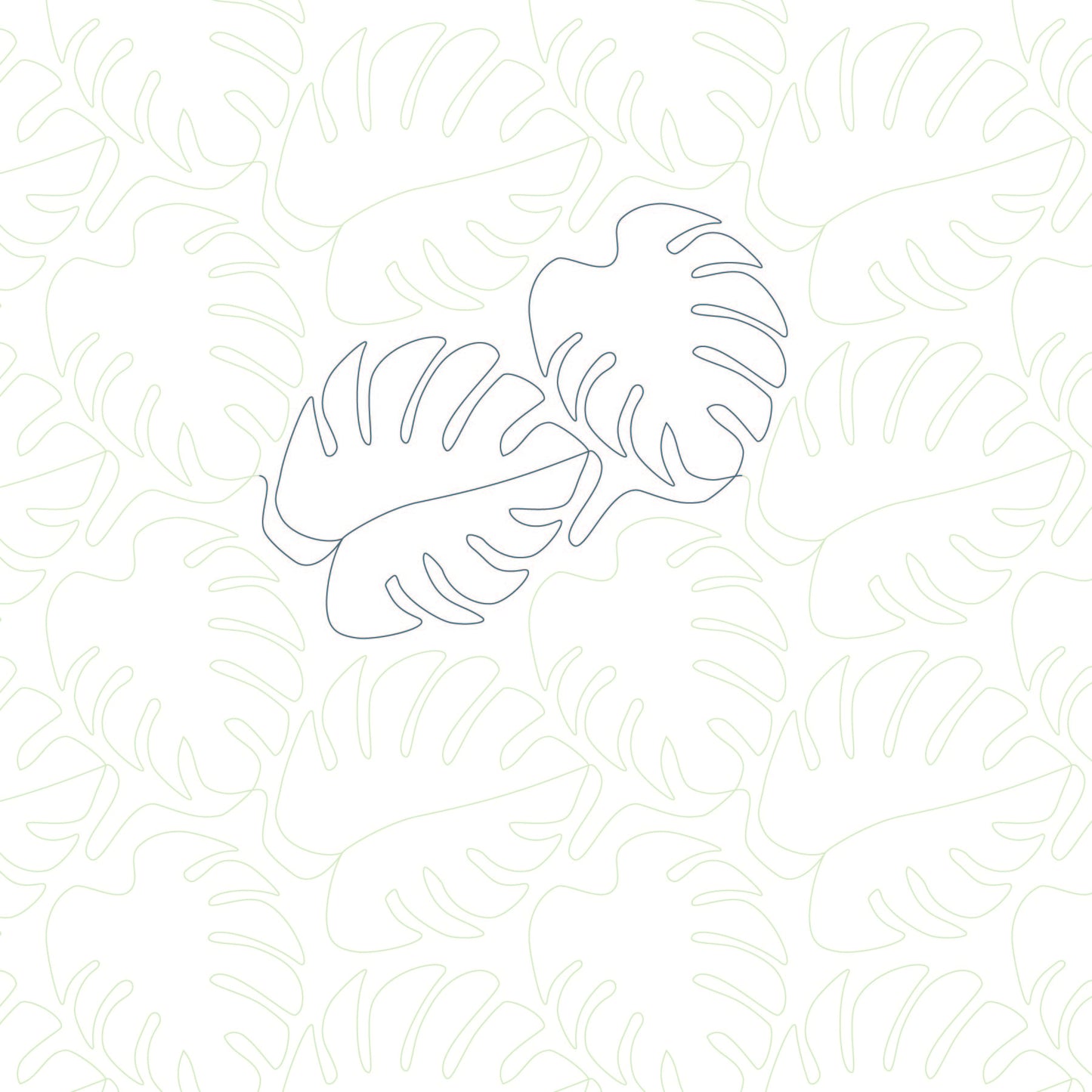 Monstera Reworked