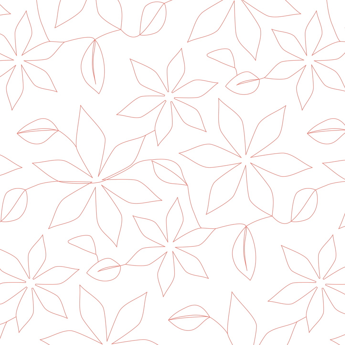 Poinsettia