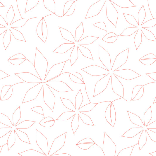 Poinsettia