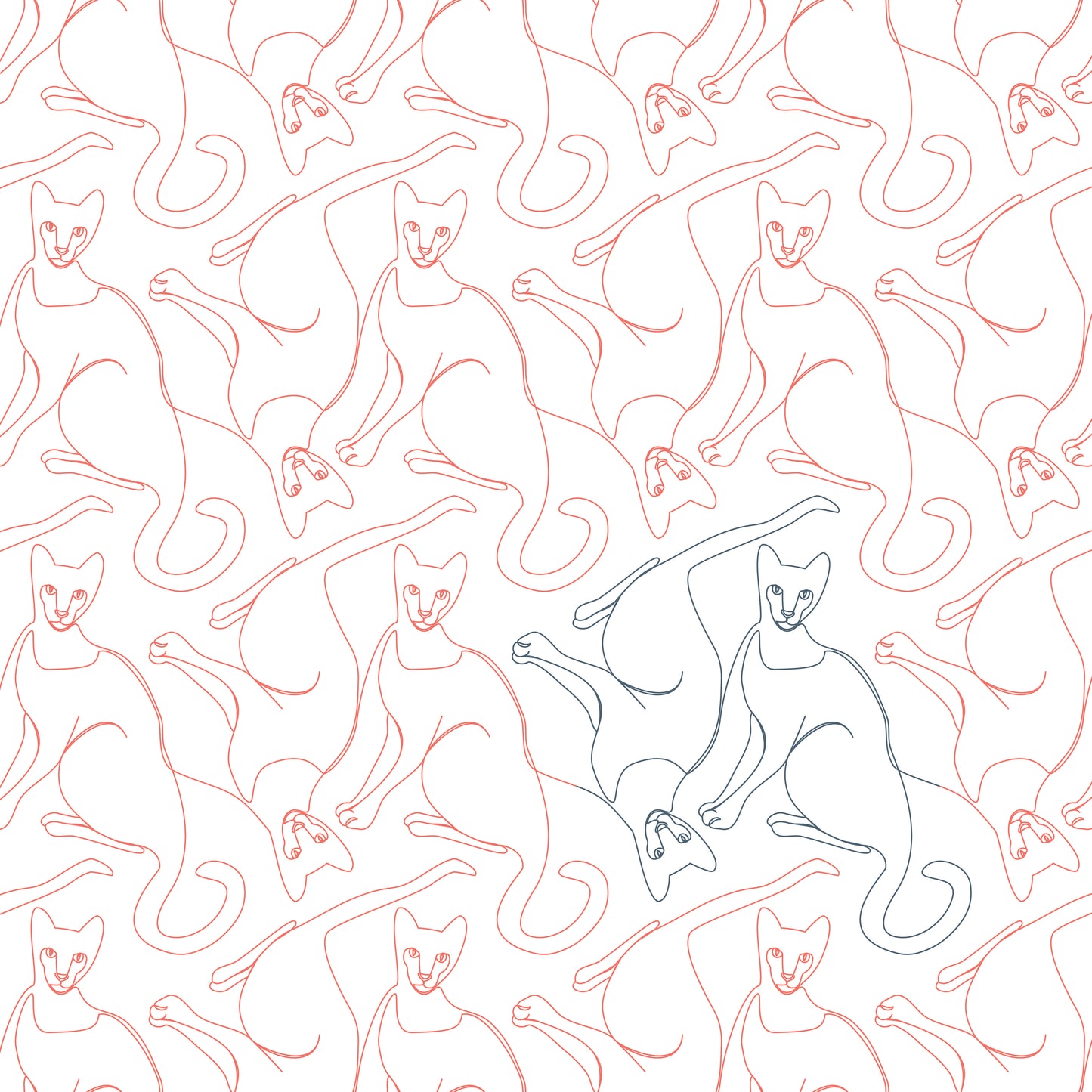 Siamese Cats